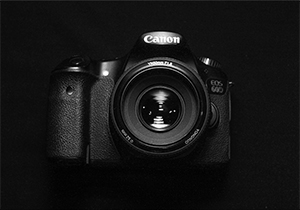 5477Horizontal Showcase (Demo)